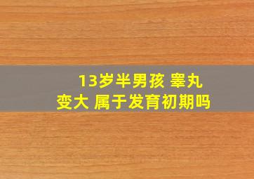 13岁半男孩 睾丸变大 属于发育初期吗